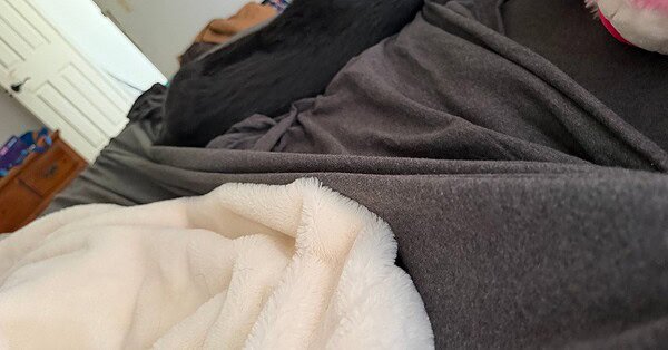 heavily blanketed bed with a dog