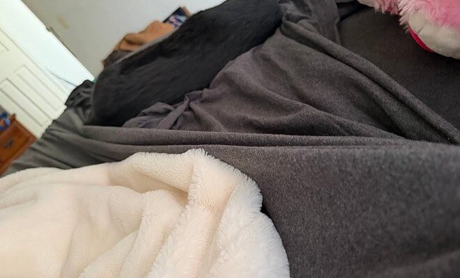 heavily blanketed bed with a dog