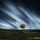 open grass landscape along a dark sky with a tree present