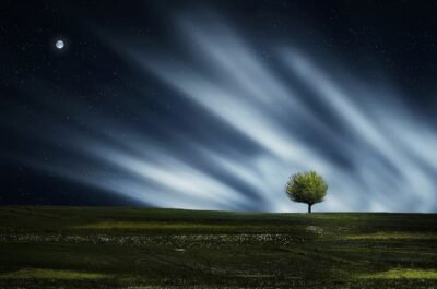 open grass landscape along a dark sky with a tree present