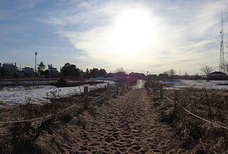 Image of a beach walkway as the sun is setting