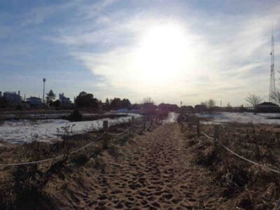 Image of a beach walkway as the sun is setting