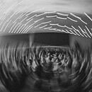 A party in gray scale spins in a circle, drawing the lights in a spiral.