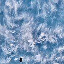 My image which prompted my poem is of the sky shrouded in Cirrus clouds with a distant daytime half moon in a pocket between the clouds and a Lark flying low in the clouds