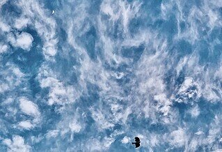 My image which prompted my poem is of the sky shrouded in Cirrus clouds with a distant daytime half moon in a pocket between the clouds and a Lark flying low in the clouds