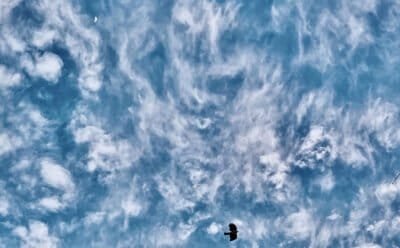 My image which prompted my poem is of the sky shrouded in Cirrus clouds with a distant daytime half moon in a pocket between the clouds and a Lark flying low in the clouds