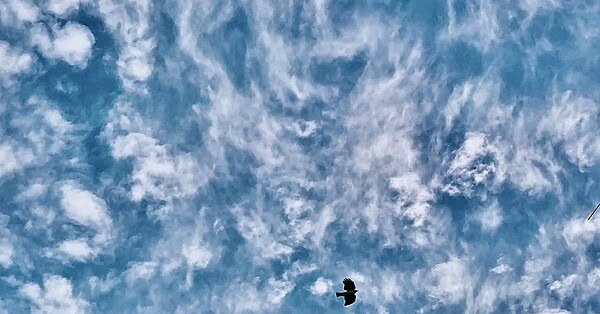 My image which prompted my poem is of the sky shrouded in Cirrus clouds with a distant daytime half moon in a pocket between the clouds and a Lark flying low in the clouds