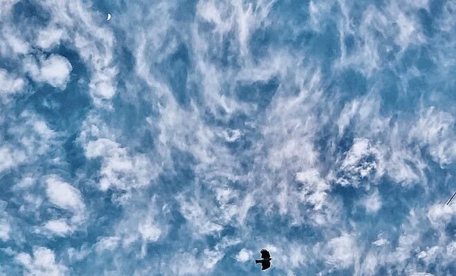 My image which prompted my poem is of the sky shrouded in Cirrus clouds with a distant daytime half moon in a pocket between the clouds and a Lark flying low in the clouds