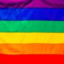A picture of the pride flag is taking up the screen, showing the colors of a rainbow up close