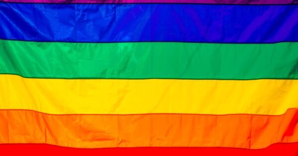 A picture of the pride flag is taking up the screen, showing the colors of a rainbow up close