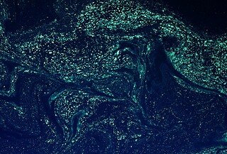 A dark blue sky-like background with turquoise light specs going across.