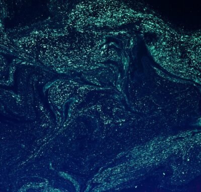 A dark blue sky-like background with turquoise light specs going across.