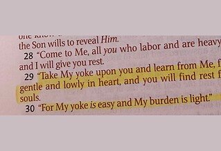 Highlighted text on a page shows a verse in the Bible