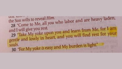 Highlighted text on a page shows a verse in the Bible