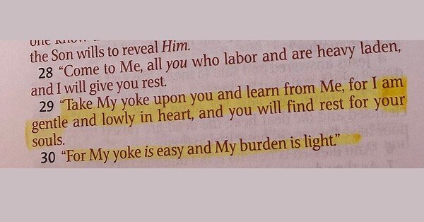 Highlighted text on a page shows a verse in the Bible