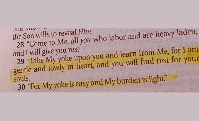 Highlighted text on a page shows a verse in the Bible