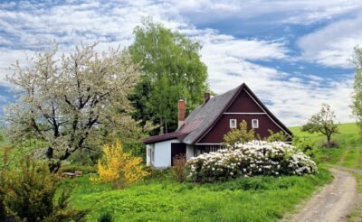 A lone cottage framed by spring trees, white blossoms, and a dirt footpath