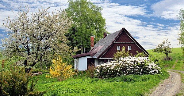 A lone cottage framed by spring trees, white blossoms, and a dirt footpath