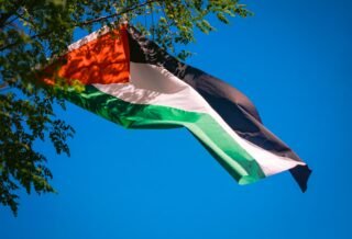 There is a clear blue background and a sight tree branch in view as the photo is focused on a Palestinian flag flying, showing solidarity with Palestine as a whole.
