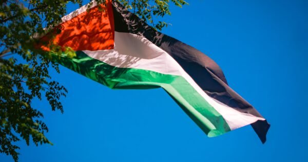 There is a clear blue background and a sight tree branch in view as the photo is focused on a Palestinian flag flying, showing solidarity with Palestine as a whole.