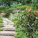 pathway through a garden