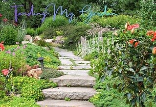 pathway through a garden