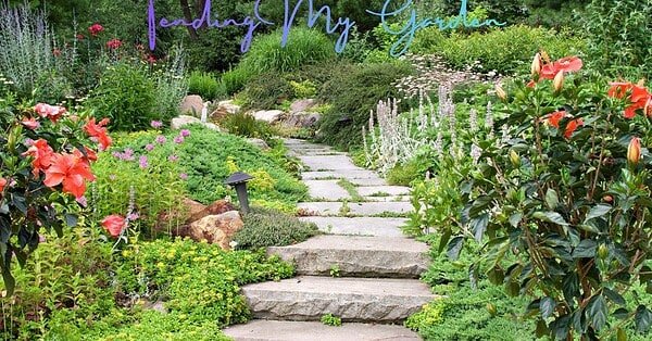 pathway through a garden