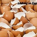 Floor covered in eggshells