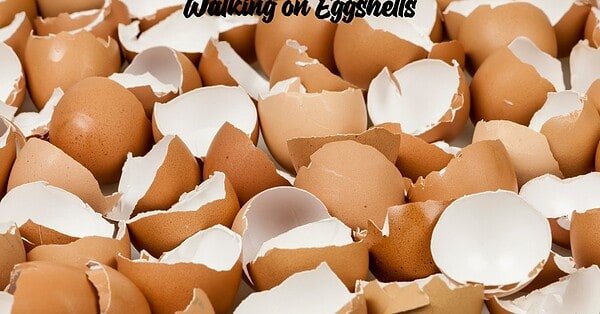 Floor covered in eggshells