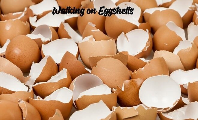 Floor covered in eggshells