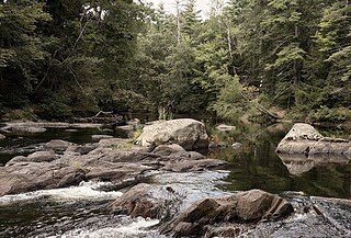 Image of Wildcat Falls in Merrimack, NH; the shot focusses on large, gray stones creating eddies in a wide stream in the middle of a pine tree forest