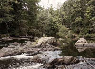 Image of Wildcat Falls in Merrimack, NH; the shot focusses on large, gray stones creating eddies in a wide stream in the middle of a pine tree forest