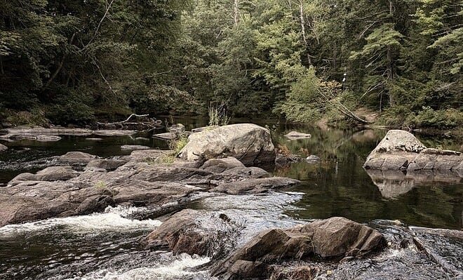 Image of Wildcat Falls in Merrimack, NH; the shot focusses on large, gray stones creating eddies in a wide stream in the middle of a pine tree forest