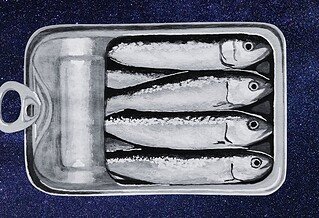 a black and white painting of an open sardine tin on a blue starry background