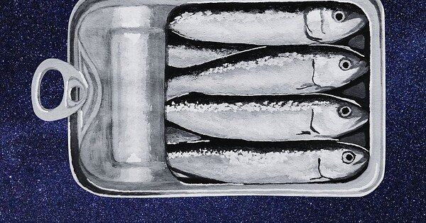 a black and white painting of an open sardine tin on a blue starry background