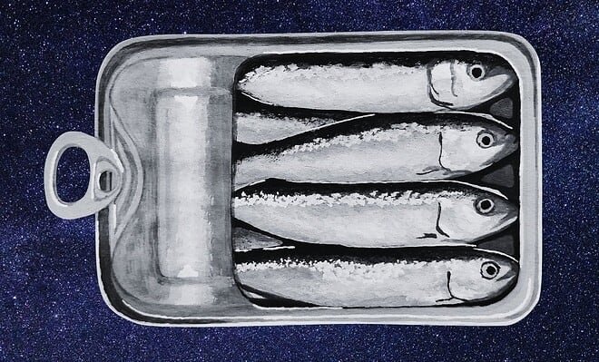 a black and white painting of an open sardine tin on a blue starry background