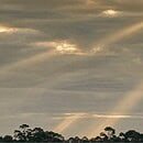 The image shows a grey twilight sky with golden sunbeams shining down from holes in the clouds