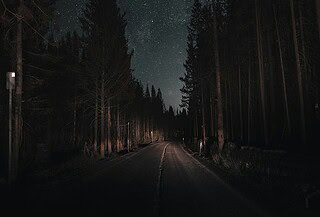 A starlight sky lined with the shadows of tall trees and a road barely visible.