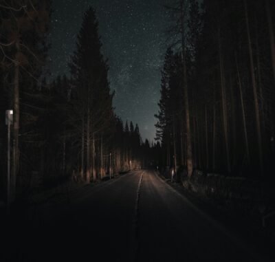 A starlight sky lined with the shadows of tall trees and a road barely visible.