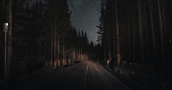 A starlight sky lined with the shadows of tall trees and a road barely visible.