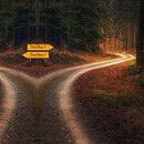 A crossroad with opposing signs in a wooded area