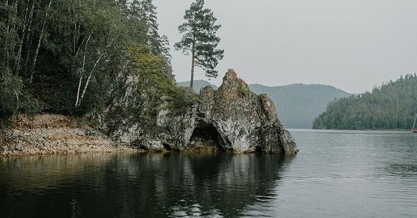 Tall pine trees give way to a rocky shoreline which meets lake, whose calm waters reflect the gray sky.
