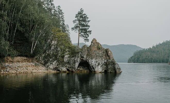 Tall pine trees give way to a rocky shoreline which meets lake, whose calm waters reflect the gray sky.