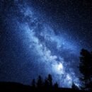 There is a night sky mixed with blue and black colors, along with numerous stars filling the sky and the shadow of a few trees peaking out from below the image, creating a beautiful view of the night sky