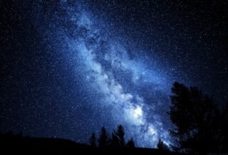 There is a night sky mixed with blue and black colors, along with numerous stars filling the sky and the shadow of a few trees peaking out from below the image, creating a beautiful view of the night sky