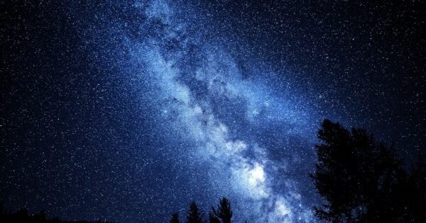 There is a night sky mixed with blue and black colors, along with numerous stars filling the sky and the shadow of a few trees peaking out from below the image, creating a beautiful view of the night sky