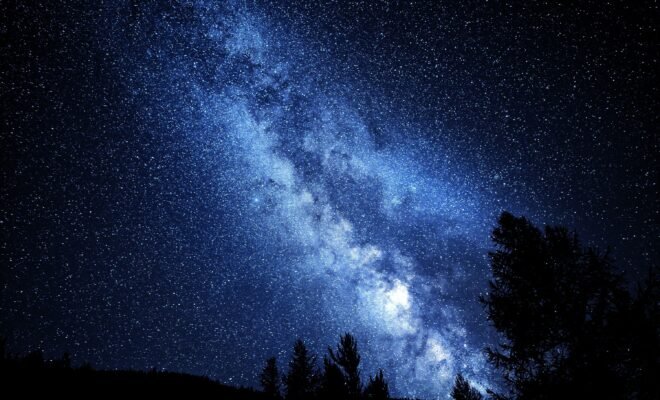 There is a night sky mixed with blue and black colors, along with numerous stars filling the sky and the shadow of a few trees peaking out from below the image, creating a beautiful view of the night sky