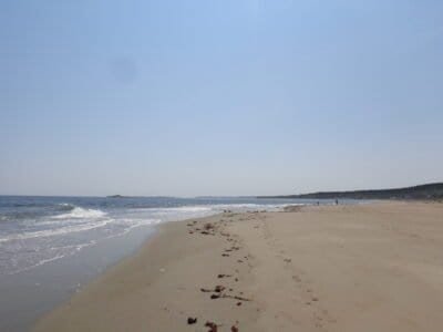 Image of footprints in the sand along Popham Beach, Maine