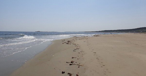 Image of footprints in the sand along Popham Beach, Maine